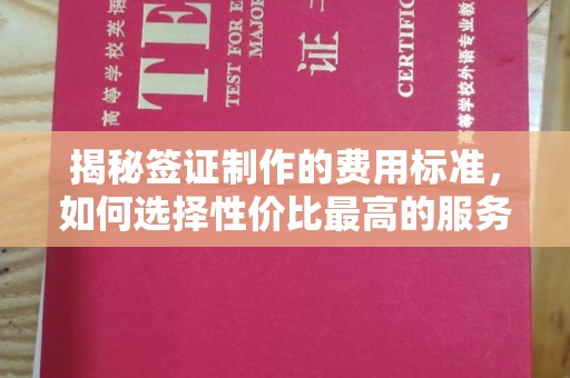 雁塔揭秘签证制作的费用标准，如何选择性价比最高的服务？